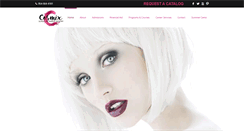 Desktop Screenshot of cosmixinc.com