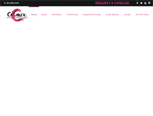 Tablet Screenshot of cosmixinc.com